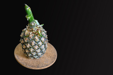 whole pineapple on rounded cork mat, isolated on dark background