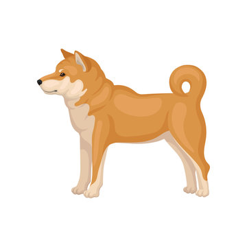 Shiba Inu Vector Stock Photos And Royalty Free Images Vectors And Illustrations Adobe Stock