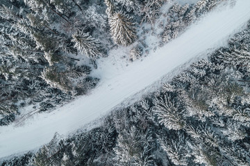 Aerial view on forest in winter time. Forest road covered in snow. Winter in Europe