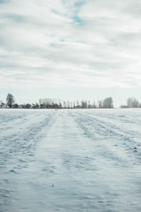 Frozen rural field, sunny winter day in countryside 
