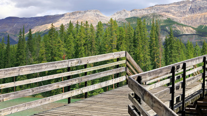 Fototapeta premium Canadian Rocky Mountains nature landscape and wooden tourist trail (pathway)
