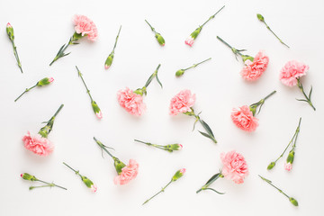 Pink carnation flowers on white background. Flat lay, top view, copy space.