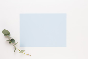 Flowers composition. Paper blank, carnation flowers, eucalyptus branches on pastel  background. Flat lay, top view, copy spaceFlat lay stiil life.