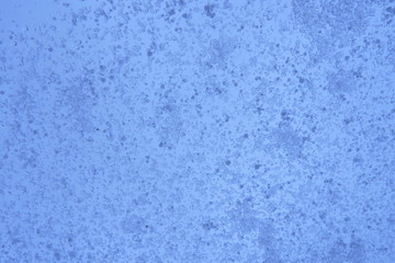 Snow on glass background © E-lona