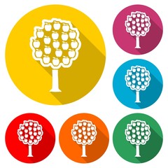 Apple tree icon or logo, color set  with long shadow