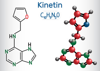 Kinetin (N6-furfuryladenine) molecule. It is plant hormone. Structural chemical formula and molecule model