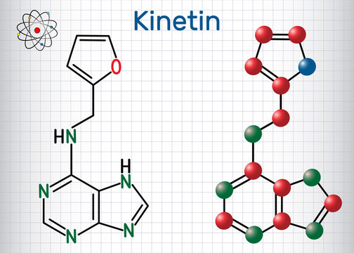 Kinetin (N6-furfuryladenine) molecule. It is plant hormone.Structural chemical formula and molecule model. Sheet of paper in a cage