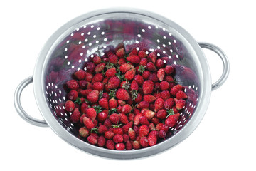 Colander with ripe strawberries isolated on white background.