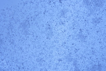 Snow on glass background © E-lona