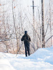 Fototapeta na wymiar skier in the winter forest