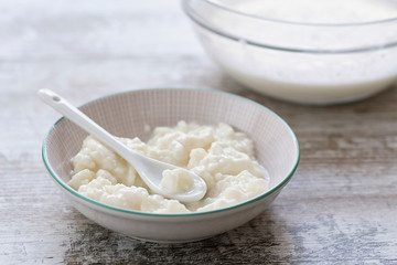 Milk kefir fungus