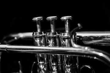 Classic musical cornet of black and white.