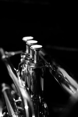 Classic musical cornet of black and white.