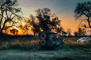 Fototapeta premium Alter und neuer Geländewagen im Abendrot in der Wildnis des Okavangodeltas, Xakanaxa, Moremi Nationalpark, Botswana