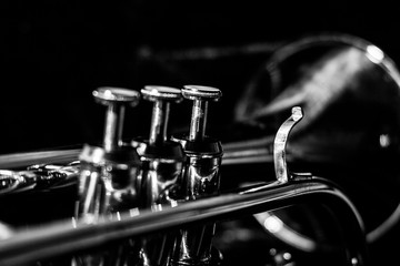 Classic musical cornet of black and white.