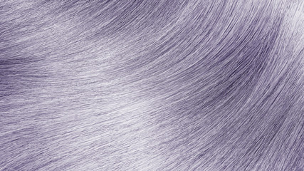 Icy blonde colored hair texture. Hairdressing background.