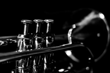 Classic musical cornet of black and white. - obrazy, fototapety, plakaty