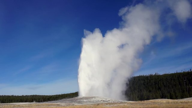 The Geyser Old Faithful at Yellowstone national-park erupting. MEDIUM shot. Shooting water up to 185 feet (56m) it is a spectacular view.