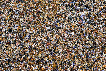 Colorful coral, moss and pebble stones in the see.
