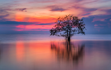 Tree in the lake with beautiful twilight.