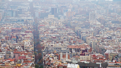 Fototapeta na wymiar View of Barcelona from a height. Barcelona from a height. City Panarama of Barcelona. Center of Barcelona.