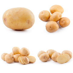 Collection of potato isolated on white background