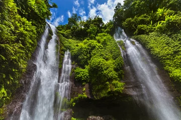 Foto op Aluminium Sekumpul waterval - Bali eiland Indonesië © Nikolai Sorokin