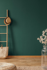 Empty green wall in elegant natural interior with wooden ladder and glass vase with flower