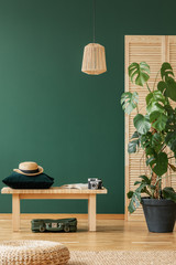 Wicker chandelier above wooden bench with emerald green pillow and hat, copy space on the empty green wall