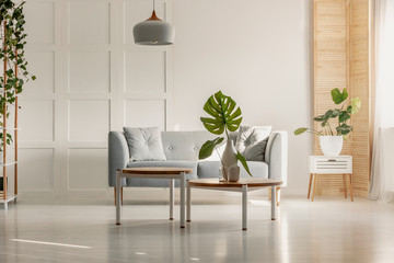 Green leaf in white vase on round wooden coffee table in spacious living room with grey couch,...