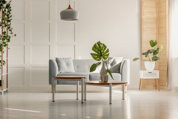 Green leaf in white vase on round wooden coffee table in spacious living room with grey couch, plants and wooden furniture