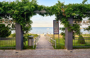 Pergola climbing plants on the way to the beach. Binz on the island of Rügen on the Baltic Sea....