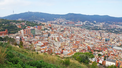 Fototapeta premium View of Barcelona from a height. Barcelona from a height. City Panarama of Barcelona. Center of Barcelona.