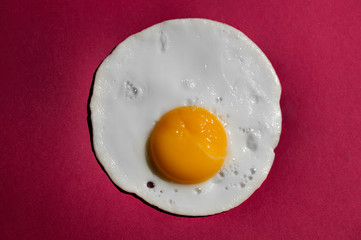 Eggs food fashion