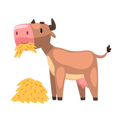 Funny brown cow eating hay, farm animal cartoon character vector Illustration