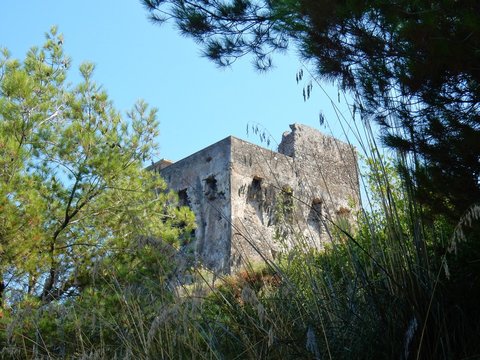 Sapri - Torre di Capobianco dal sentiero