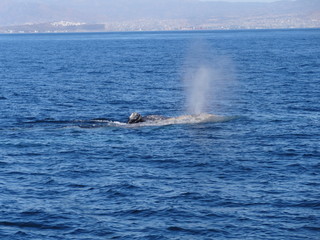 Obraz premium naturaleza