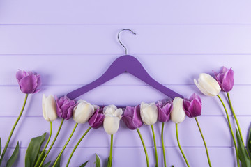 Hanger with purple and white tulips laid out along it on lilac wooden table.