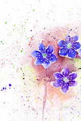 spring bloom. cherry blossom flowers drops splashes watercolor. pollen