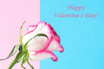 Happy Valentines Day romance greeting card with red and pink roses background