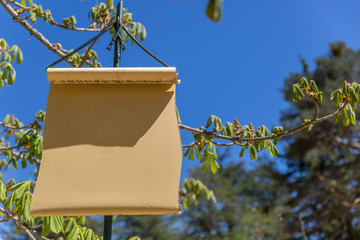 Poster with classic parchment shape ready to write something on it
