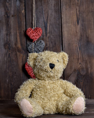 brown soft teddy bear sit on a brown  background