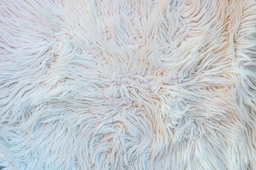 texture of fur