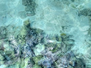 Bora Bora. Island near of Tahiti in French Polynesia