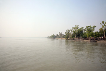A stunning sunrise looking over the holiest of rivers in India. Ganges delta in Sundarbans, West...
