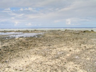 French Polynesia. Tuamotu. Islands near of Tahiti 