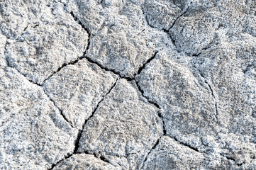 Soil salinity and cracks 