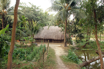 Bengali village Baidyapur, India.