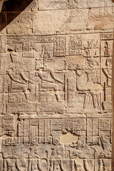 Ancient egyptian gods hieroglyphs at Philae Temple in Aswan Egypt