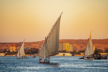 Felluca tourist boats on the river Nile at sunset in Luxor